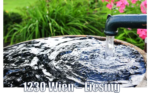 Schlagbrunnen 1230 Wien Liesing