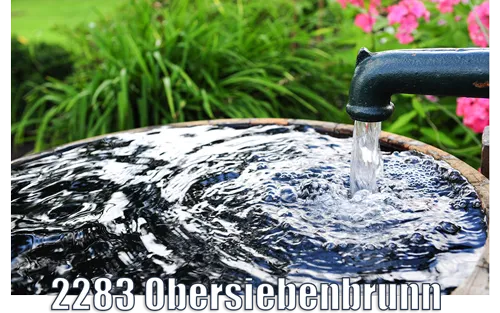 Schlagbrunnen 2283 Obersiebenbrunn