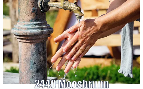 Schlagbrunnen 2440 Moosbrunn