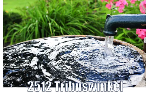 Schlagbrunnen 2512 Tribuswinkel